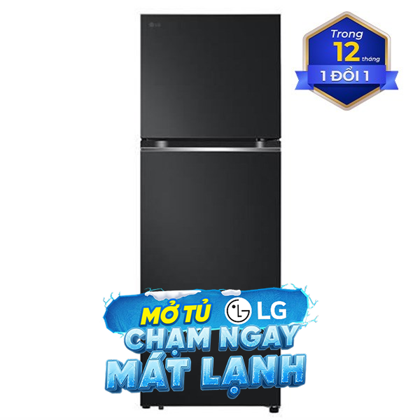 LG Inverter 335 lít LTB33BLMA