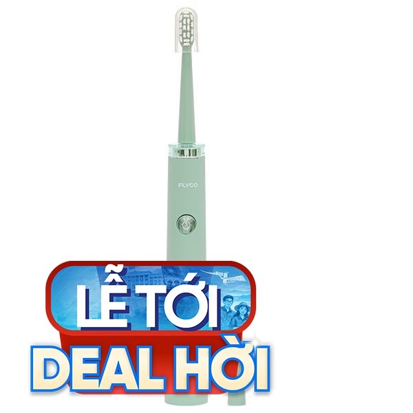 Bàn chải điện Flyco FT1701VN