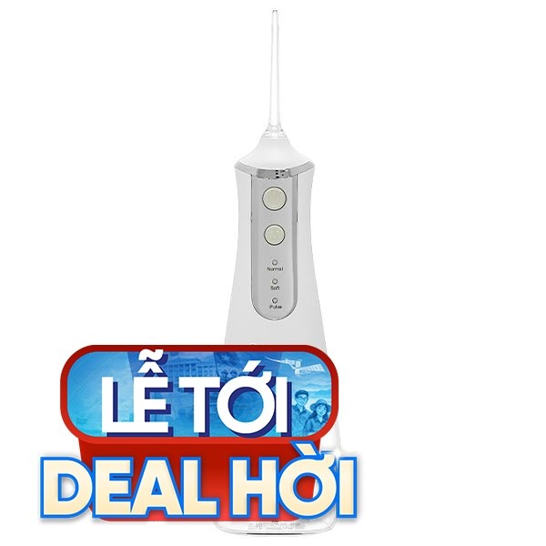 Máy tăm nước cầm tay Rapido RWW-300