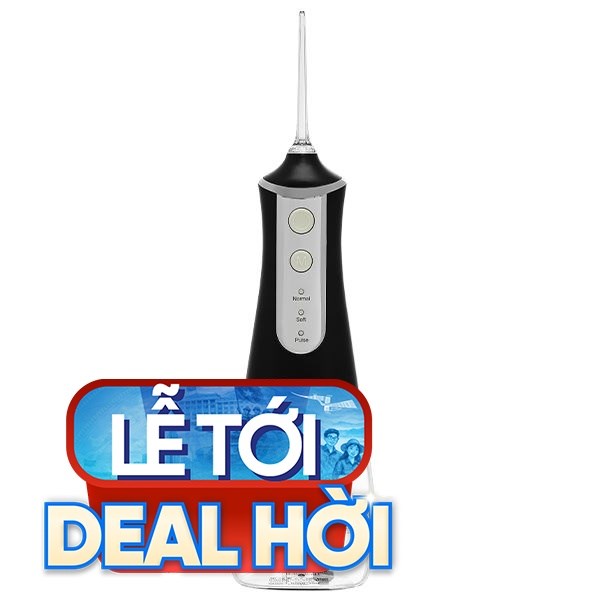 Máy tăm nước cầm tay Rapido RWB-300