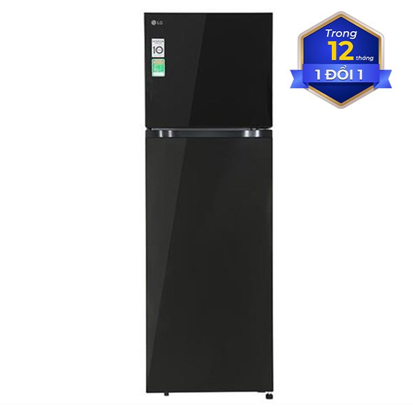 LG Inverter 266 lít T26BG