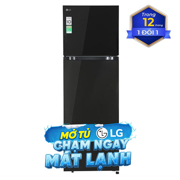 LG Inverter 266 lít T26BG