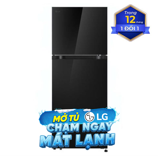 LG Inverter 217 lít T21BG