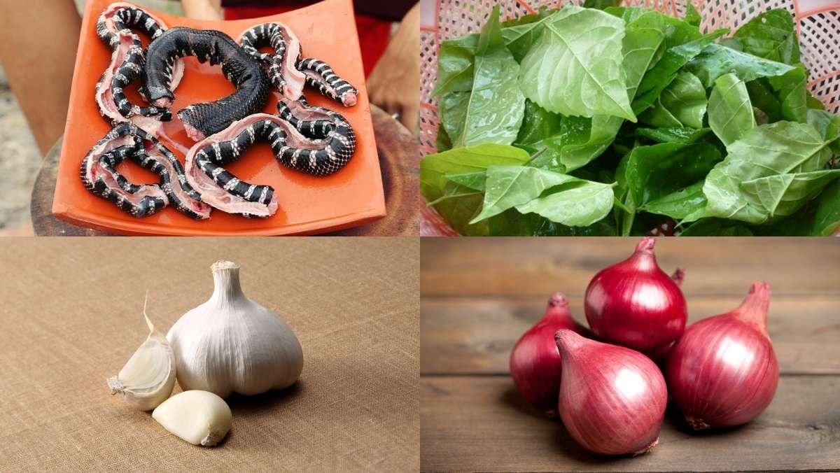 Nguyên liệu món ăn cách làm rắn xào lá cách đặc sản miền tây dân dã cực ngon đơn giản