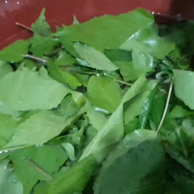 Bước 2 Sơ chế lá cách Rắn xào lá cách
