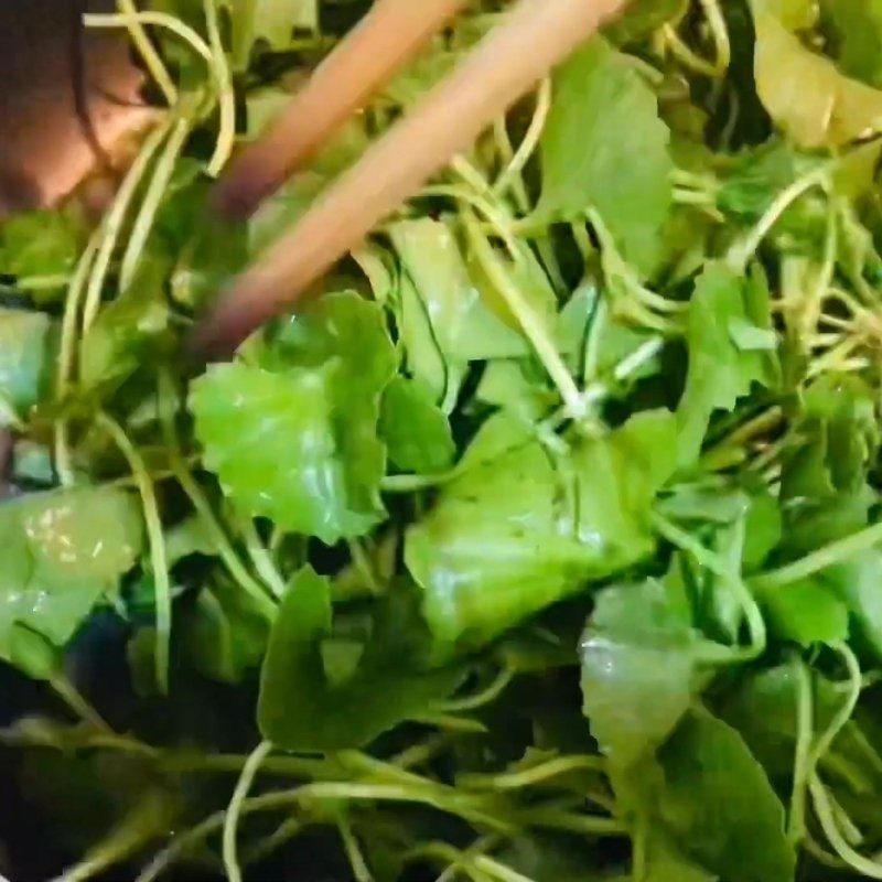 Bước 2 Cách xào rau má giòn ngon Rau má xào tỏi
