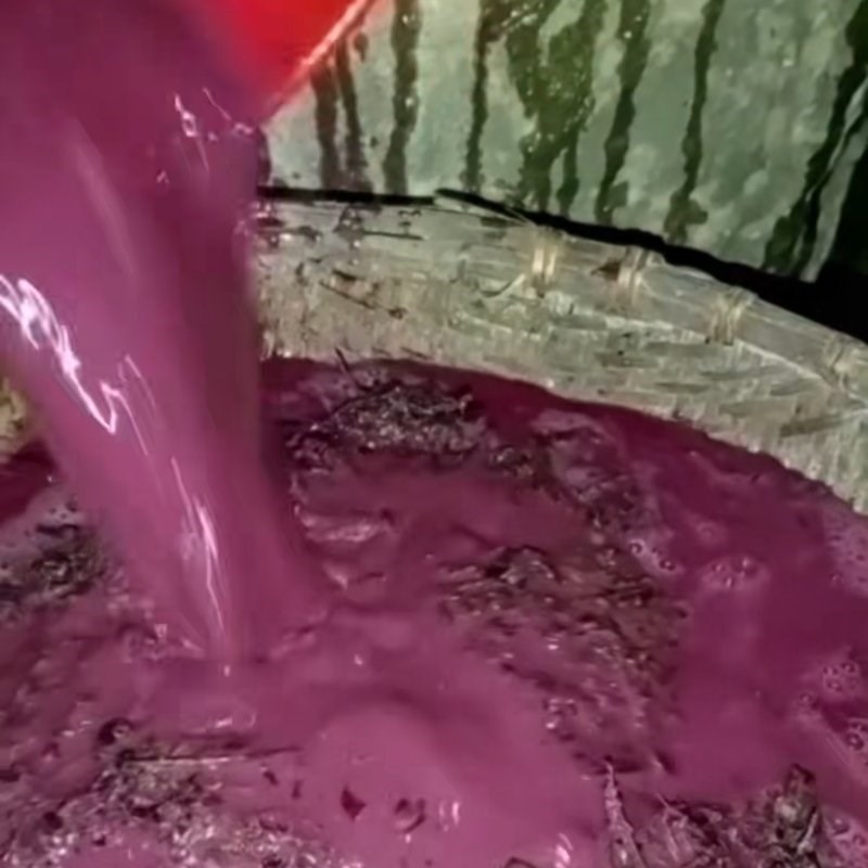 Bước 1 Giã lá cẩm với tro bếp Xôi cẩm màu xanh dương