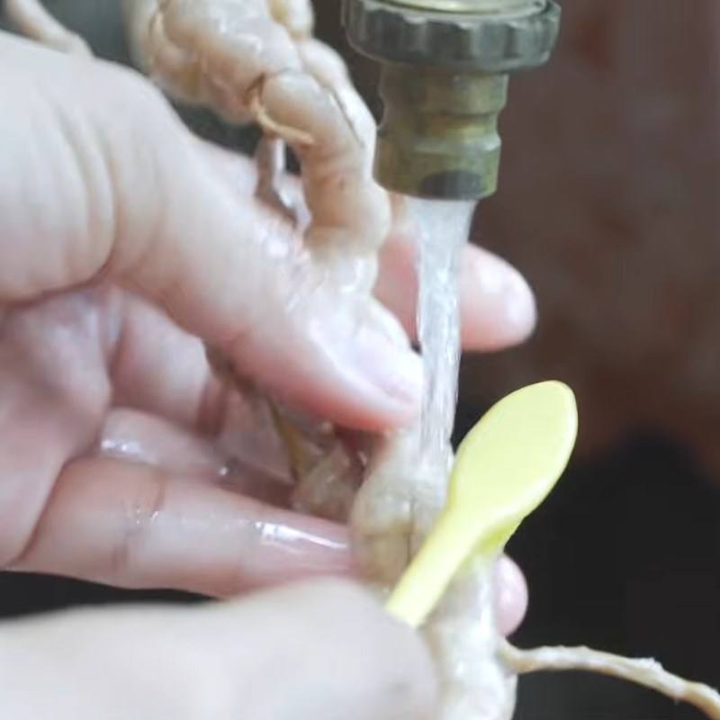 Bước 1 Sơ chế ba kích tươi ngâm rượu Cách ngâm rượu ba kích