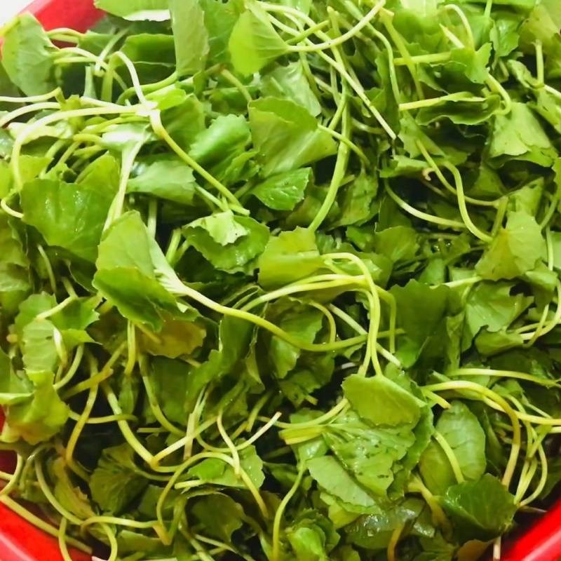 Bước 1 Sơ chế nguyên liệu Rau má xào tỏi
