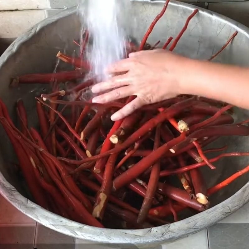 Bước 1 Sơ chế sâm cau Cách ngâm rượu sâm cau
