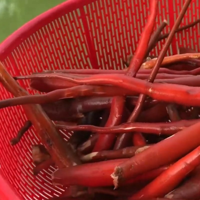 Bước 1 Sơ chế sâm cau Cách ngâm rượu sâm cau