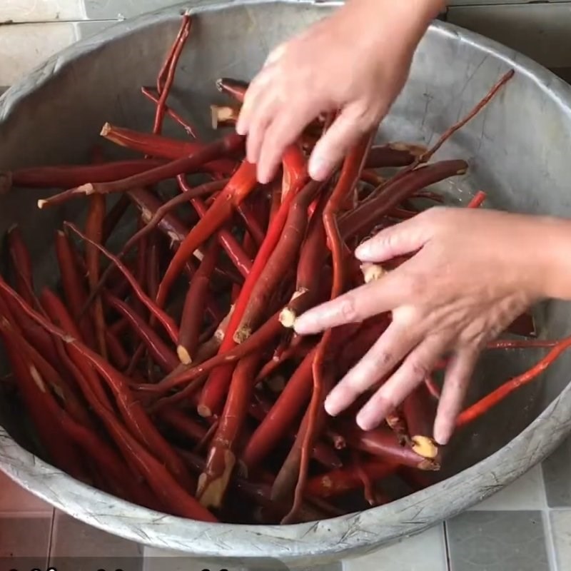 Bước 1 Sơ chế sâm cau Cách ngâm rượu sâm cau