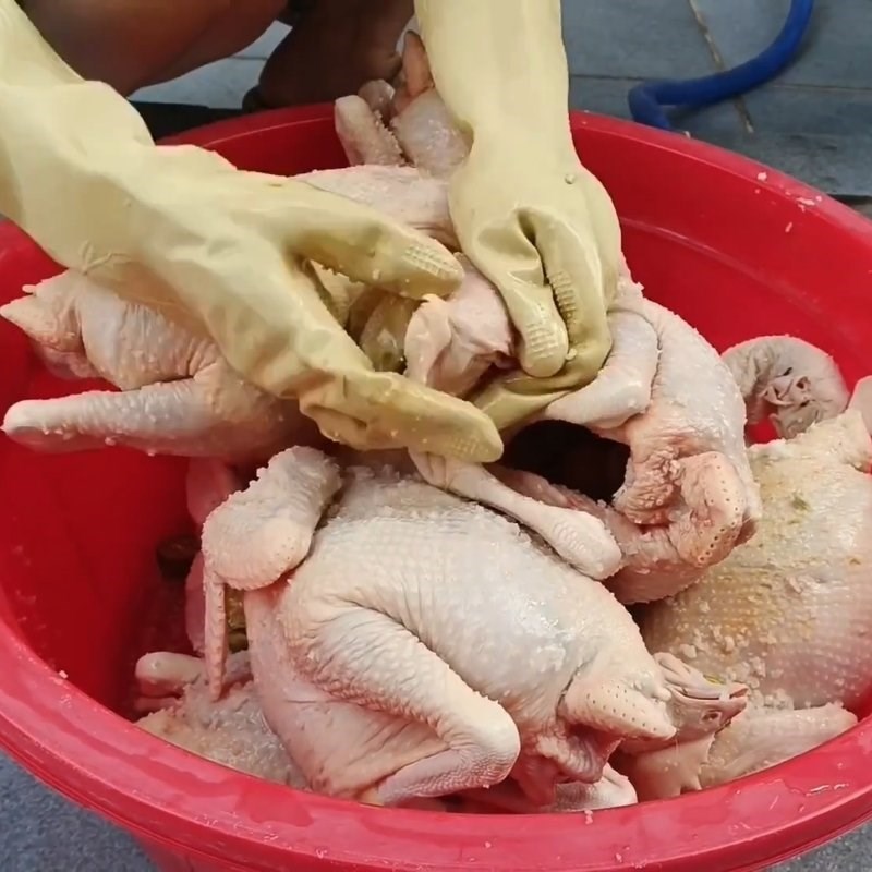 Bước 1 Sơ chế và tạo hình gà Gà ủ muối thảo mộc