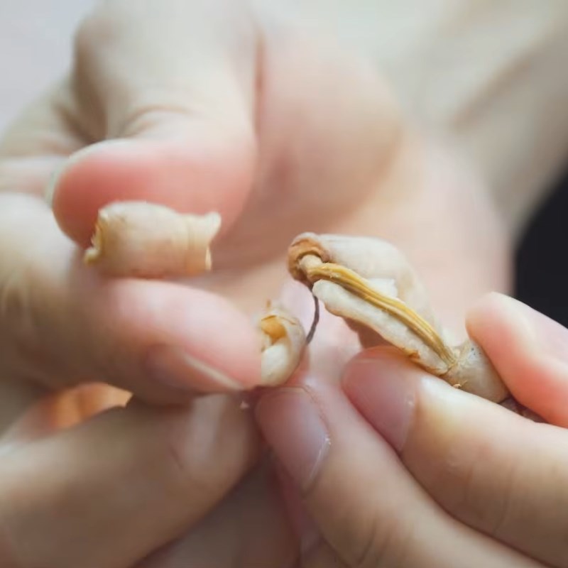 Bước 2 Tách lõi ba kích để ngâm rượu Cách ngâm rượu ba kích