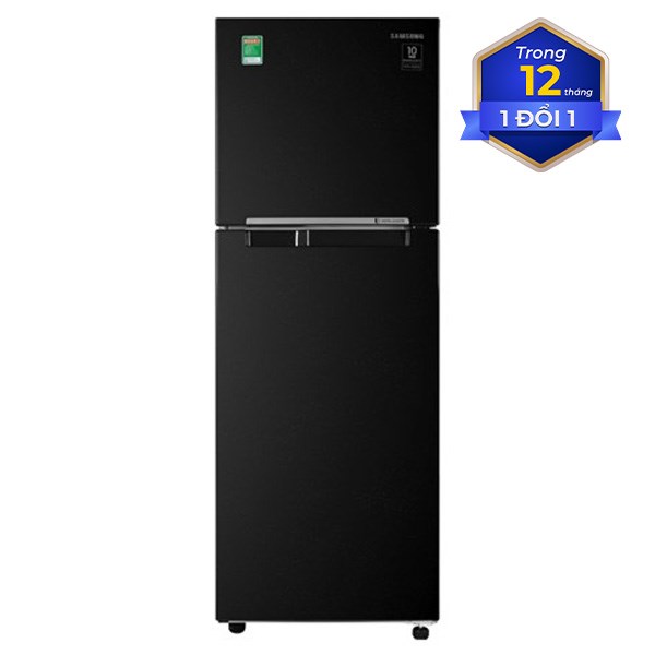 Samsung Inverter 236 lít RT22M4032BU/SV