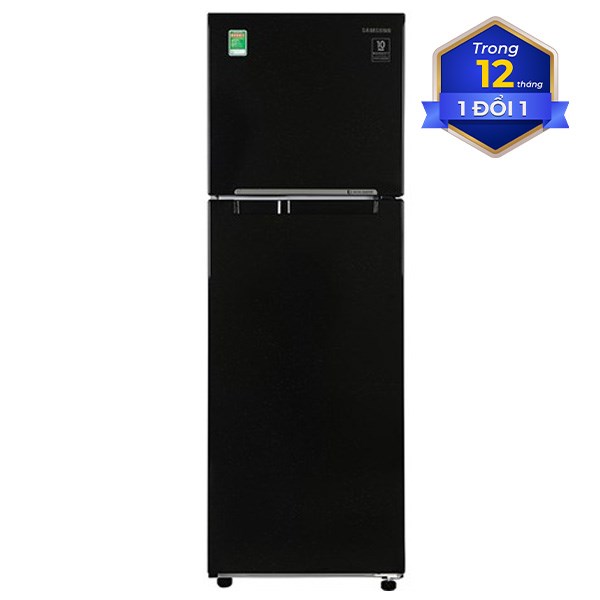 Tủ lạnh Samsung Inverter 256 lít RT25M4032BU/SV
