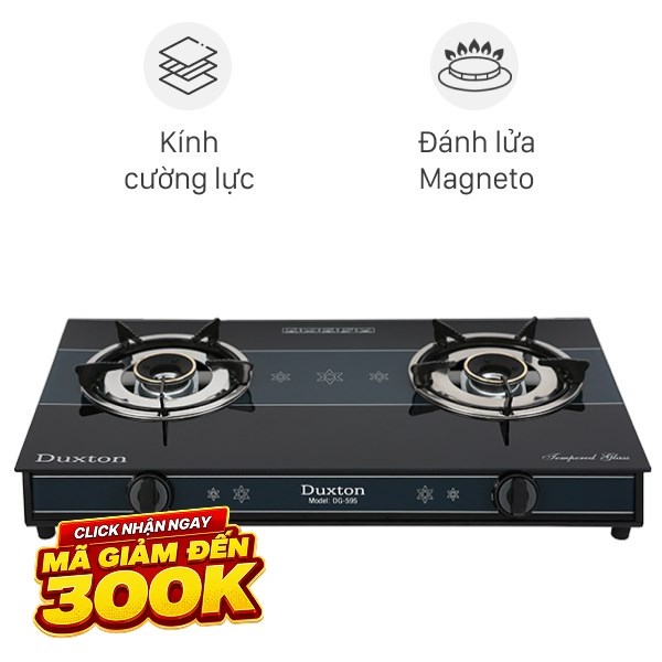 Bếp ga đôi Duxton DG-595