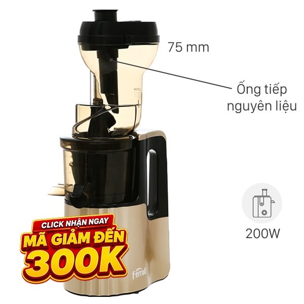 Máy ép chậm Ferroli FSJ-200M