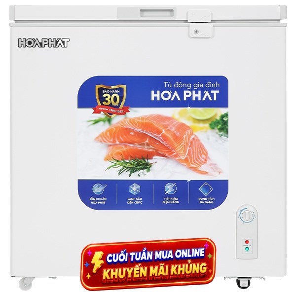 Tủ đông Hoà Phát  162 lít AD6162