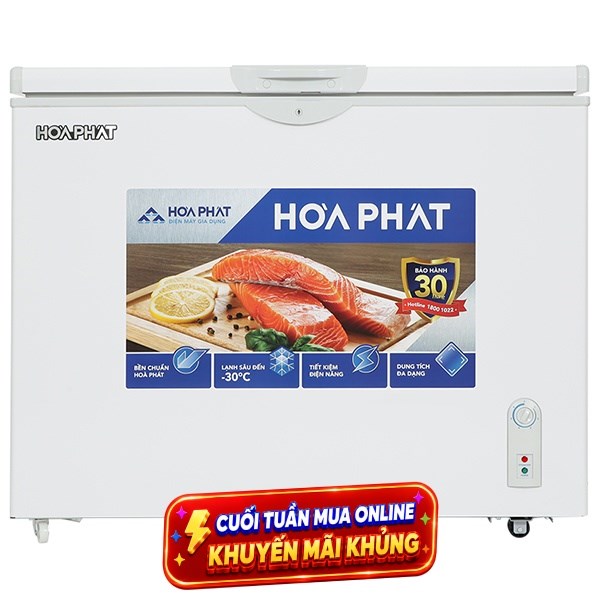 Tủ đông Hoà Phát  252 lít AD6252