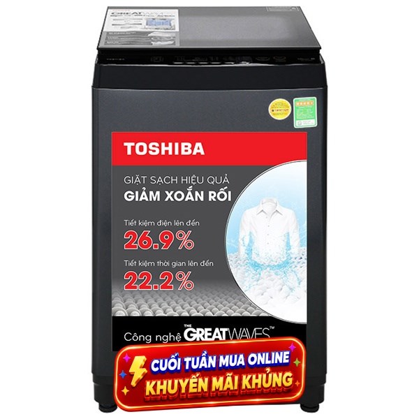 Toshiba 10 Kg AW-M1100PV(MK)