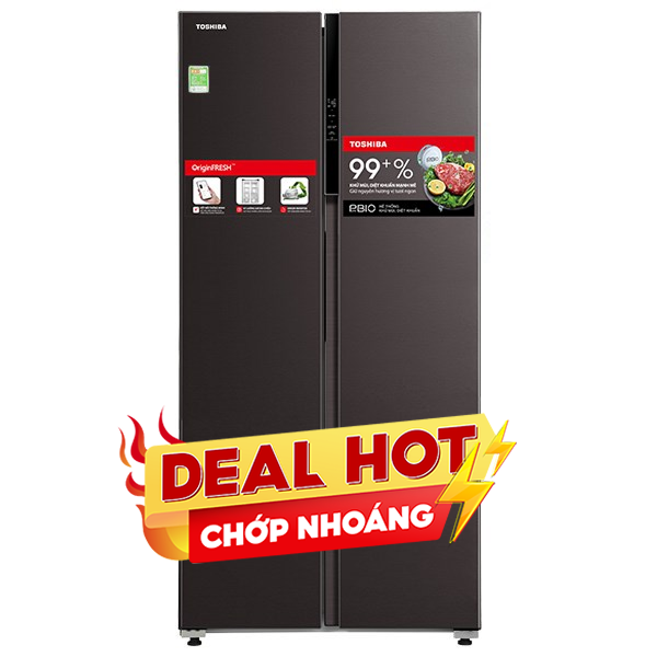 Toshiba Inverter 460 lít GR-RS600WI-PMV(37)-SG