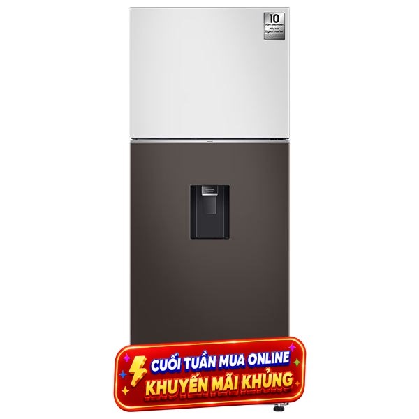 Samsung Inverter 406 lít Bespoke RT42CB6784C3SV