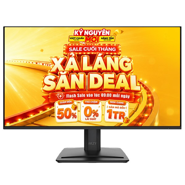MSI 24.5 inch Full HD MP251 E2