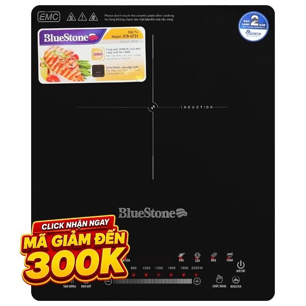 Bếp từ đơn BlueStone ICB-6731 2000W
