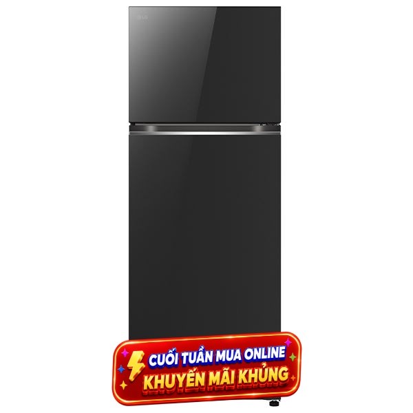 LG Inverter 315 lít LTB31BLMA