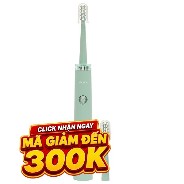Bàn chải điện Flyco FT1701VN