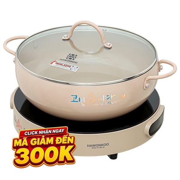 Bếp từ đơn Hawonkoo CEH-101-I-CF 2000W