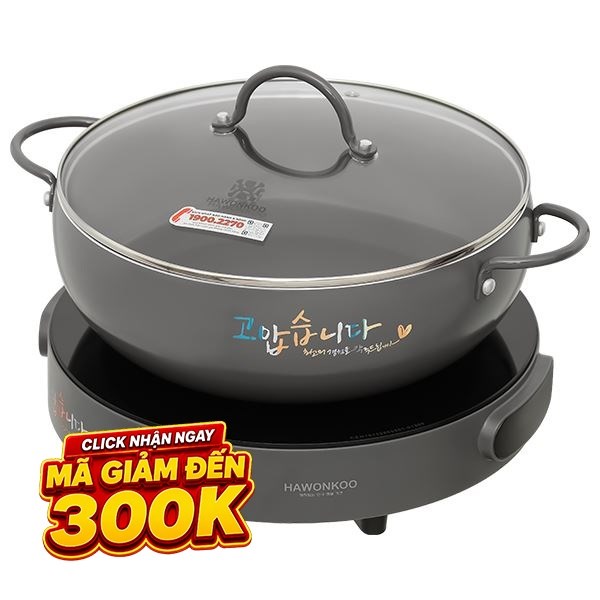 Bếp từ đơn Hawonkoo CEH-101-I-GR 2000W