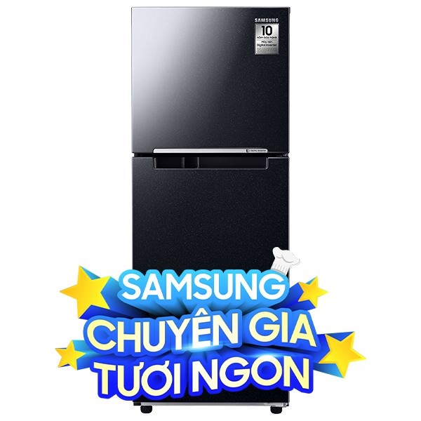 Samsung Inverter 208 lít RT20HAR8DBU/SV