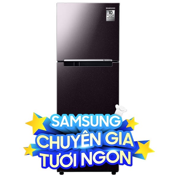 Samsung Inverter 236 lít RT22M4032BY/SV