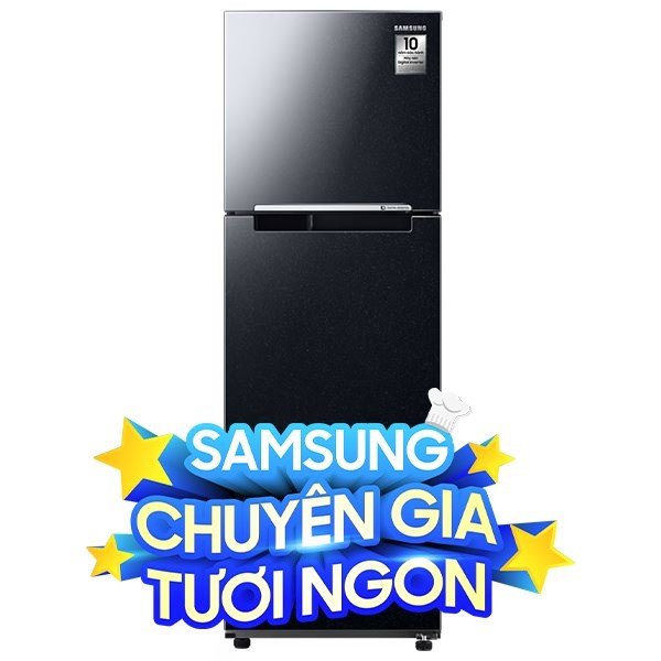 Samsung Inverter 256 lít RT25M4032BU/SV