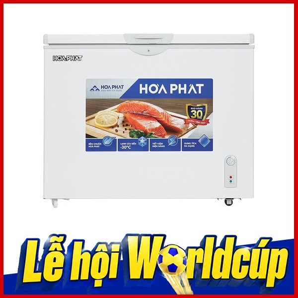Tủ đông Hoà Phát  252 lít AD6252