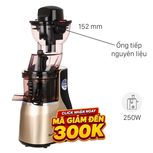 Máy ép chậm BlueStone SJB-6568