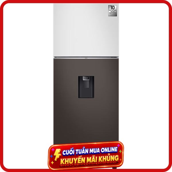 Samsung Inverter 406 lít Bespoke RT42CB6784C3SV
