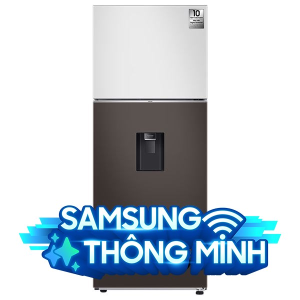 Samsung Inverter 406 lít Bespoke RT42CB6784C3SV