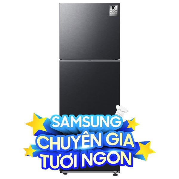 Tủ lạnh Samsung Inverter 305 lít RT31CG5424B1SV