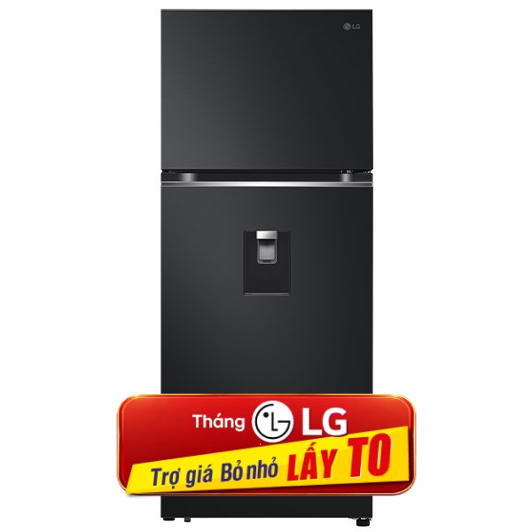 LG Inverter 374 lít LTD37BLM