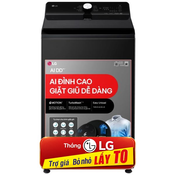 LG Inverter 13 Kg T2313DX5N
