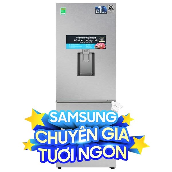 Samsung Inverter 307 lít RB30N4190S9/SV