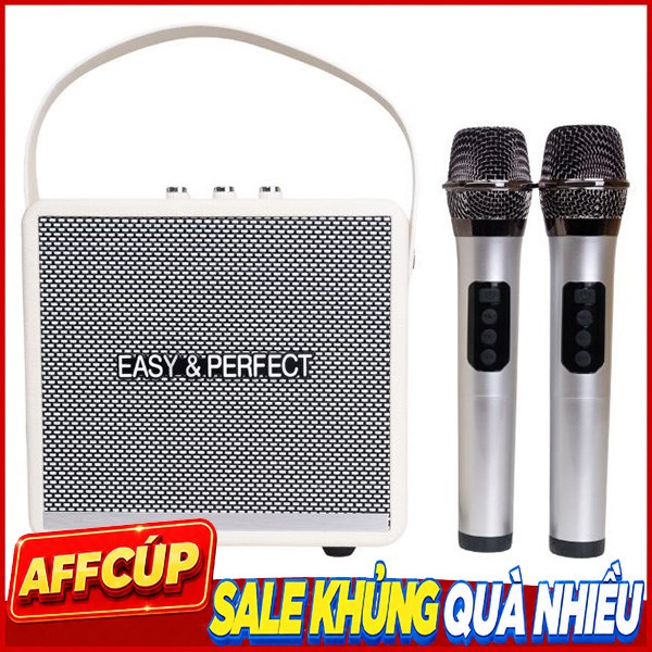 Loa karaoke xách tay Easy & Perfect EP-Windy