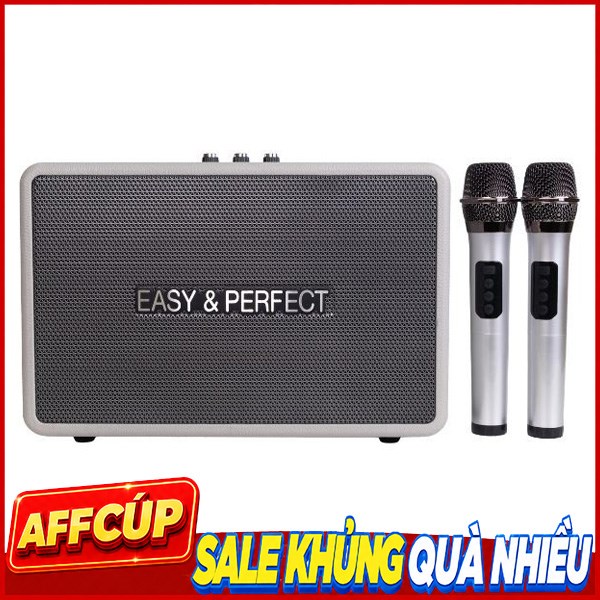 Loa karaoke xách tay Easy & Perfect EP-4205 Pro