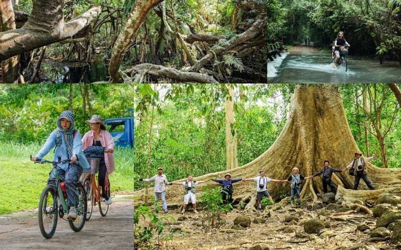 Vườn quốc gia Nam C&aacute;t Ti&ecirc;n