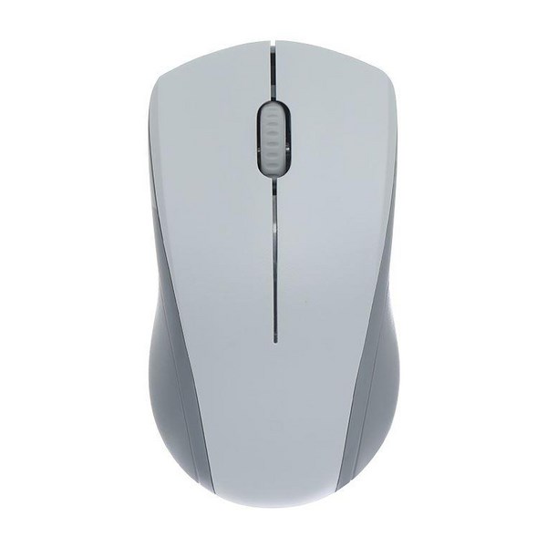 Chuột Có dây Silent Rapoo N1200