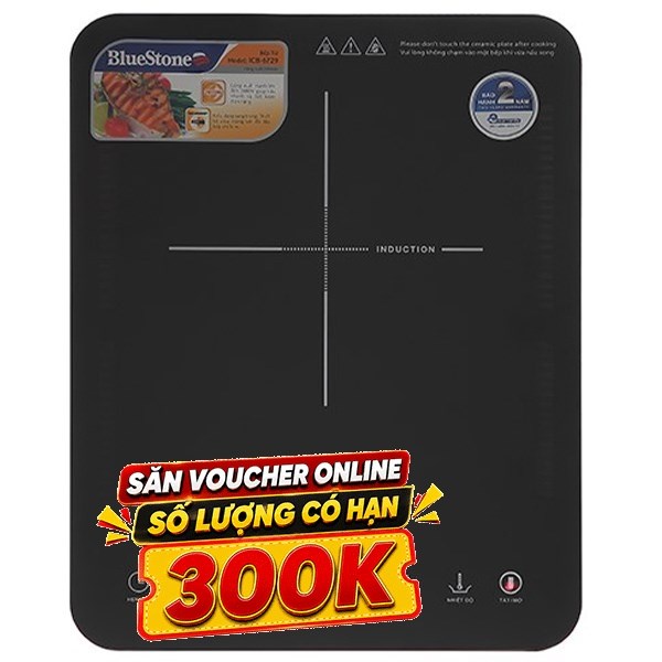 Bếp từ đơn BlueStone ICB-6729 2000W