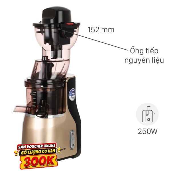 Máy ép chậm BlueStone SJB-6568